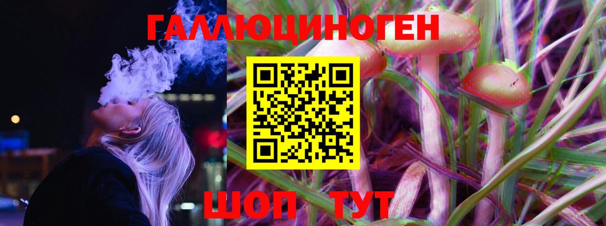 Псилоцибиновые грибы Psilocybe Дубна