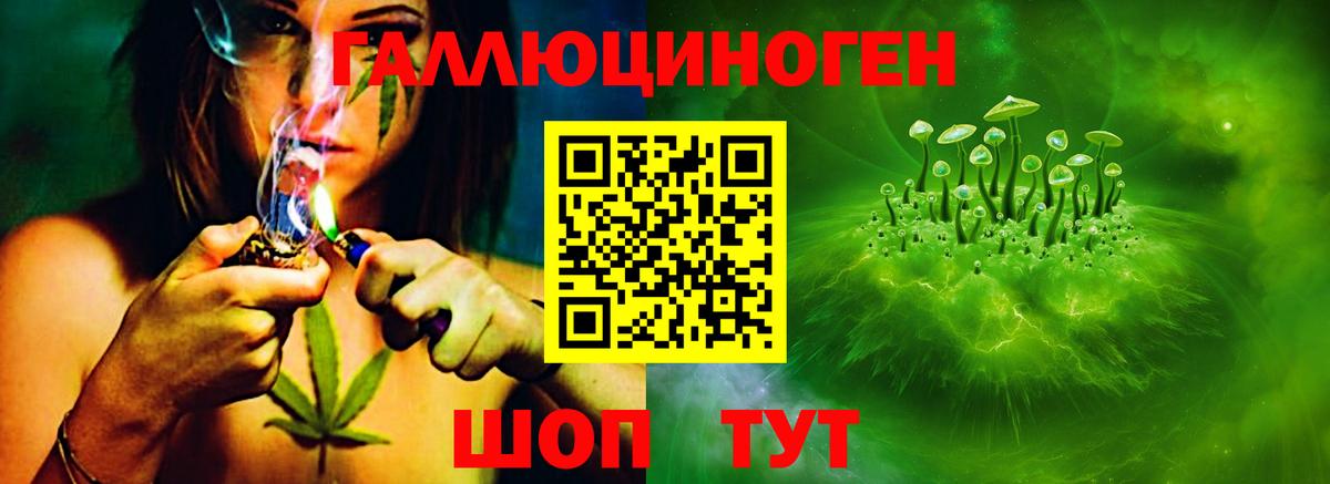 Дубна  Псилоцибиновые грибы мицелий  Вход с VPN  Псилоцибиновые грибы GOLDEN TEACHER 